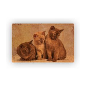 Mosaic Cork Fabric Cats Engraving R220