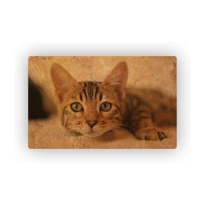 Mosaic Cork Fabric Cats Engraving R222