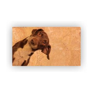 Mosaic Cork Fabric Dogs Engraving R143